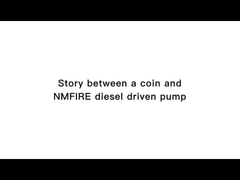 Factory Testing of the Diesel Engine Pump