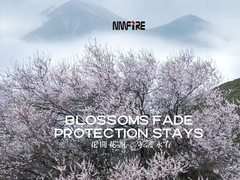 NMFIRE  NO MORE FIRE